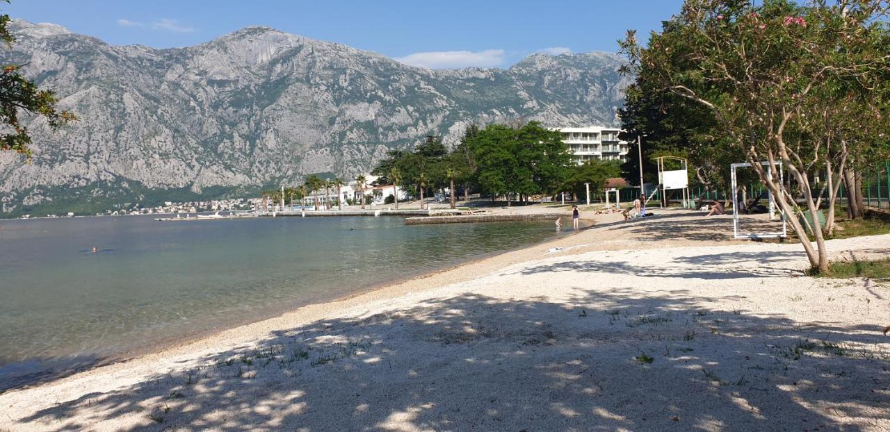 Apartments Scorpio Kotor Extérieur photo
