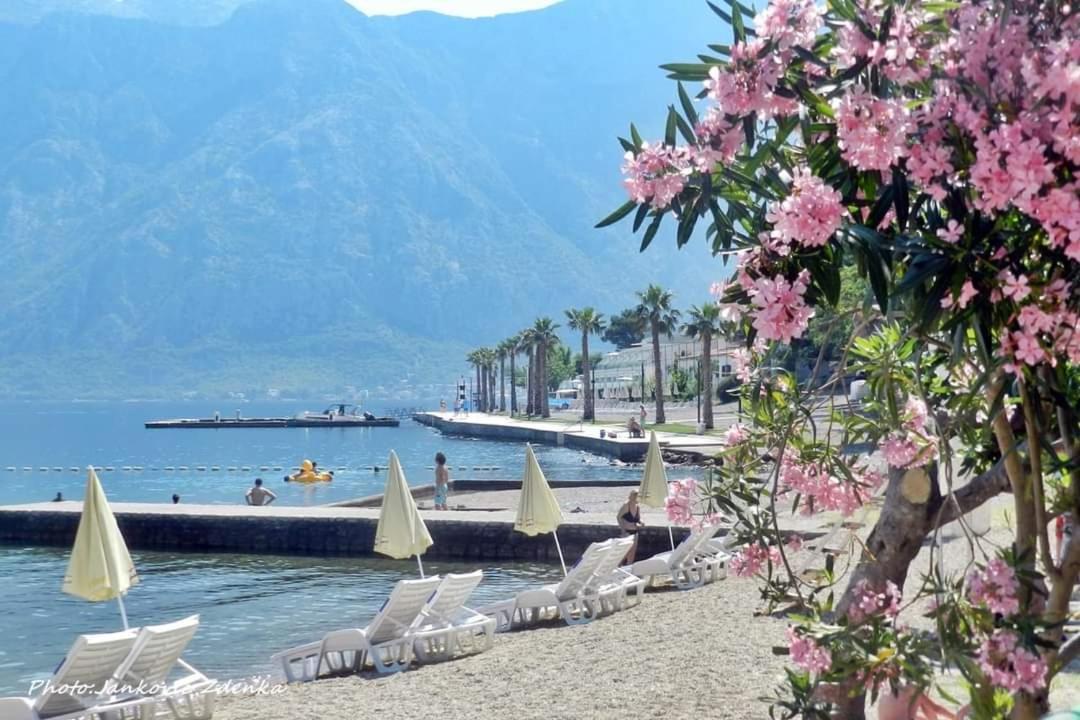 Apartments Scorpio Kotor Extérieur photo