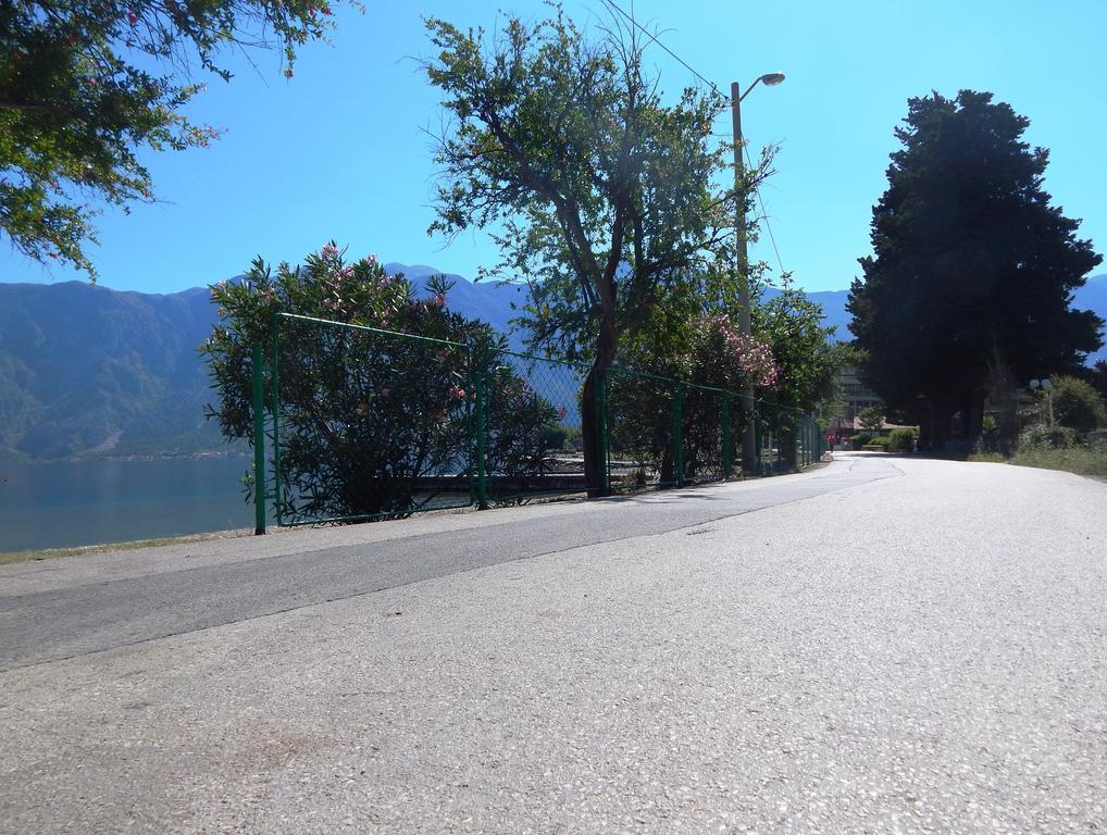 Apartments Scorpio Kotor Extérieur photo